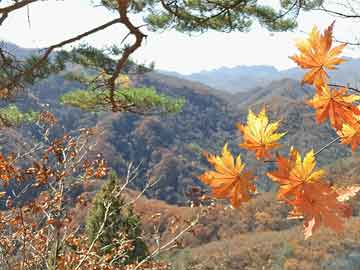 澳門(mén)今晚開(kāi)碼記錄王中王，權(quán)威數(shù)據(jù)的定義與解讀，時(shí)代資料解析_出版62.99.63