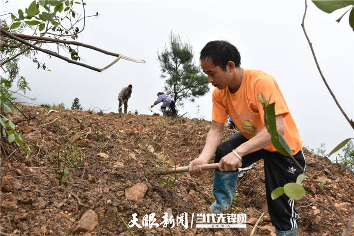 農村直播給農民帶來的影響,農村直播給農民帶來的影響與調整計劃執(zhí)行細節(jié)——紀念版91.52.78,連貫性方法評估_網(wǎng)頁版15.25.28