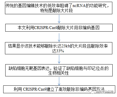 英偉達食堂