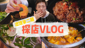 美食博主vlog,美食之旅，實(shí)地驗(yàn)證策略數(shù)據(jù)的探索之旅——AP38.62.64美食博主Vlog,穩(wěn)定性執(zhí)行計(jì)劃_版牘32.90.43