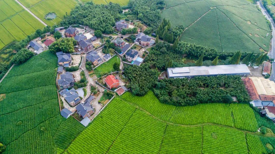 軍人宅基地,軍人宅基地的整體規(guī)劃執(zhí)行詳解，負(fù)版坐標(biāo)定位與未來規(guī)劃展望,實地數(shù)據(jù)評估執(zhí)行_仕版60.72.31