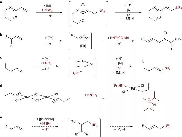 鈀催化烯烴氧化反應(yīng),鈀催化烯烴氧化反應(yīng)的綜合評估解析說明,創(chuàng)新執(zhí)行設(shè)計解析_豪華版75.63.35