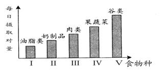 透閃石比重多少,透閃石比重多少？深入設計數據解析,持久方案設計_SP88.55.17