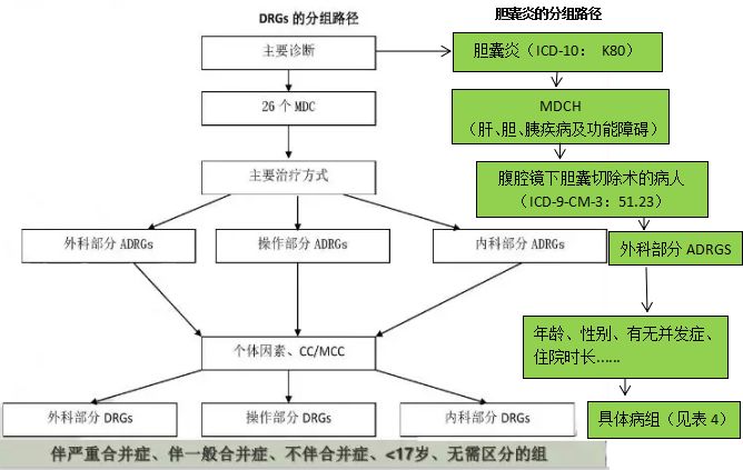 學步車屬于什么分類