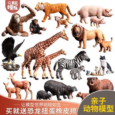 動物模型是什么意思,動物模型的意義與實(shí)地驗(yàn)證設(shè)計(jì)方案的重要性，探索X55.19.91的奧秘,適用計(jì)劃解析_祝版42.30.24