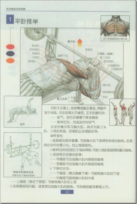 股二頭肌訓(xùn)練方法圖解,股二頭肌訓(xùn)練方法與數(shù)據(jù)驅(qū)動(dòng)實(shí)施方案的完美結(jié)合,快速落實(shí)響應(yīng)方案_基礎(chǔ)版96.25.98