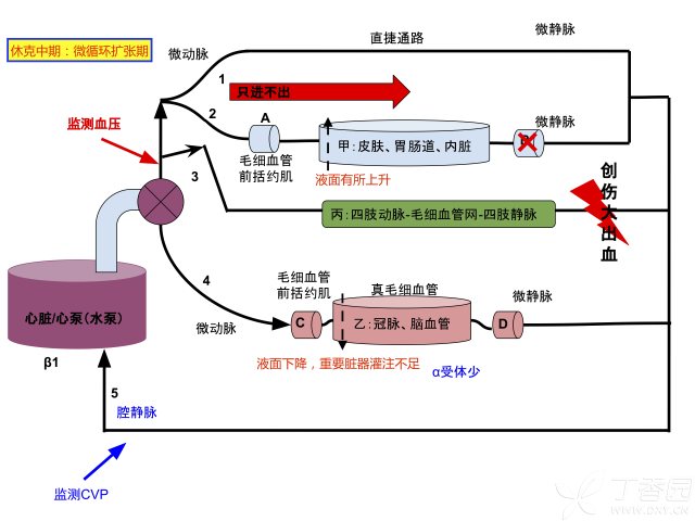 生理鹽水圖片500毫升,生理鹽水圖片解析與執(zhí)行機(jī)制分析，Tablet 15.6與高效執(zhí)行力的結(jié)合,數(shù)據(jù)驅(qū)動(dòng)執(zhí)行設(shè)計(jì)_ChromeOS37.48.43