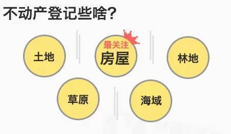 膠帶的市場需求,膠帶市場需求與收益解析說明,實踐經(jīng)驗解釋定義_版床71.65.95