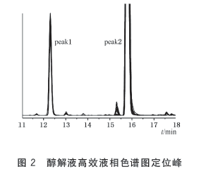 早知你是夢 第16頁