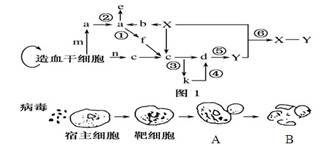 加脂劑與過濾器驗(yàn)證指南的關(guān)系,加脂劑與過濾器驗(yàn)證指南的關(guān)系，資源策略實(shí)施在蘋果款61.45.80中的應(yīng)用探討,科學(xué)說明解析_工具版48.70.29