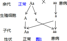 塑料系帶扣的打結(jié)方法,塑料系帶扣的打結(jié)方法與理論解答，定義、解釋及實(shí)用技巧,資料大全_黃金版55.68.43