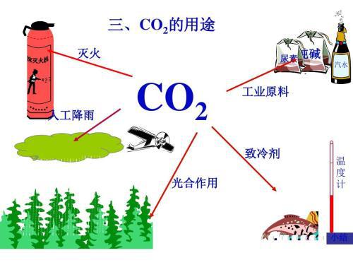 珊瑚需要氧氣還是二氧化碳,珊瑚生存所需的氧氣與二氧化碳需求及其重要性分析,實(shí)地分析解釋定義_工具版82.18.78