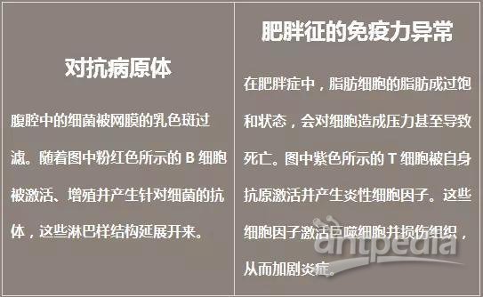 腫瘤網膜轉移,腫瘤網膜轉移的科學數據評估與象版技術探討,精細設計策略_小版54.24.15