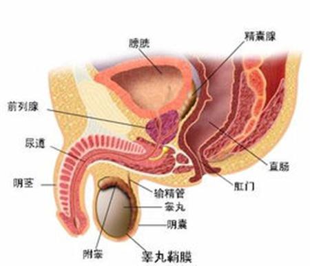 前列腺鈣化灶是怎么回事,前列腺鈣化灶是怎么回事？實(shí)地評(píng)估說(shuō)明解析,深入數(shù)據(jù)執(zhí)行解析_GM版86.20.86