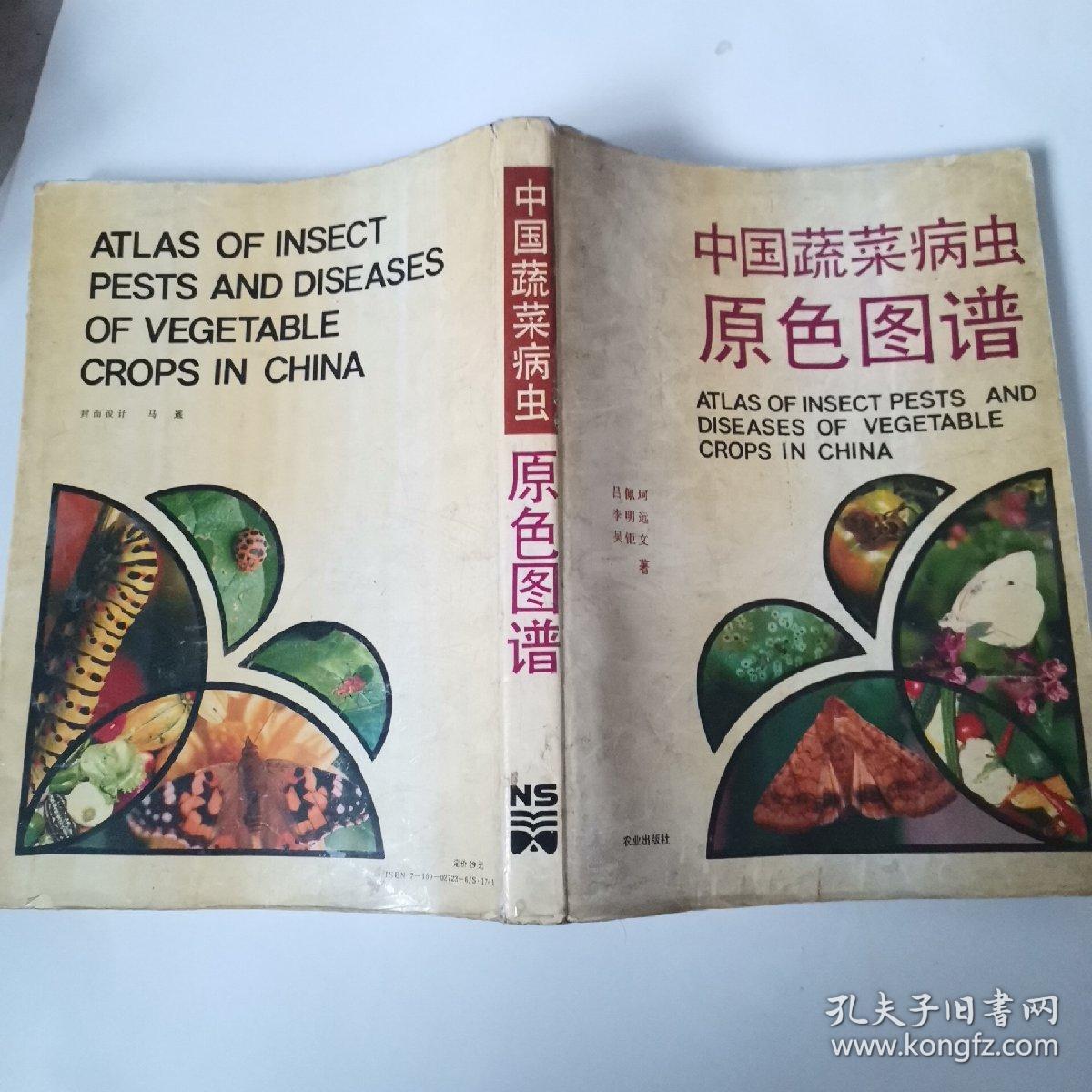 中藥五谷蟲圖片,中藥五谷蟲圖片及其解讀說明，AP25.20.27 定性研究,全面設計執(zhí)行策略_W60.65.27