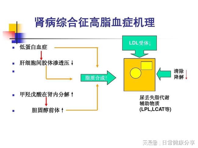 iga腎病最終走向是尿毒癥嗎,關(guān)于iga腎病最終走向及數(shù)據(jù)導向計劃設(shè)計探討——鉑金版37.86.79,持久設(shè)計方案策略_專屬款32.65.23