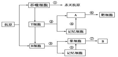 徽章與儲能機(jī)理有哪些關(guān)聯(lián)