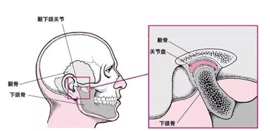 下巴脫臼什么癥狀表現(xiàn)