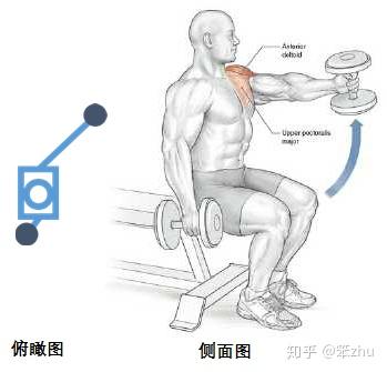 鍛煉肱二頭肌的動作啞鈴,鍛煉肱二頭肌的動作啞鈴與靈活性策略解析,高效策略設(shè)計_特別款46.58.99