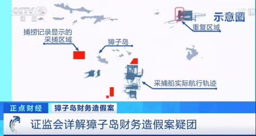 山東情侶跳河,山東情侶跳河事件，精確數(shù)據(jù)解析與深入說明,科技術(shù)語評(píng)估說明_版心74.61.12