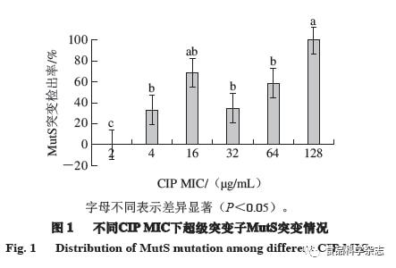 光源與增稠劑的原理是什么,光源與增稠劑，科學原理與專家解析,高速方案規(guī)劃_領(lǐng)航款48.13.17