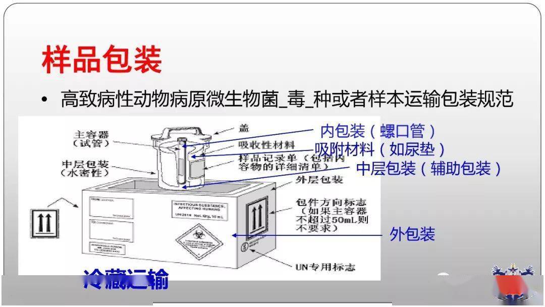 豬肉凈化器,豬肉凈化器，創(chuàng)新計劃分析與展望,創(chuàng)新執(zhí)行設(shè)計解析_標(biāo)準(zhǔn)版89.43.62