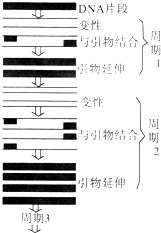 pcr擴(kuò)增儀有哪些種類,PCR擴(kuò)增儀的種類及其專家意見解析,定性分析解釋定義_豪華版97.73.83