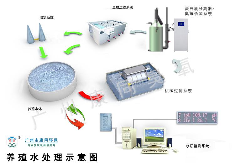 水產(chǎn)養(yǎng)殖臭氧如何安全應(yīng)用,水產(chǎn)養(yǎng)殖中臭氧的安全應(yīng)用及其數(shù)據(jù)支持設(shè)計(jì)計(jì)劃,實(shí)證說明解析_復(fù)古版67.895