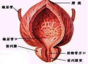 玩火 第9頁(yè)