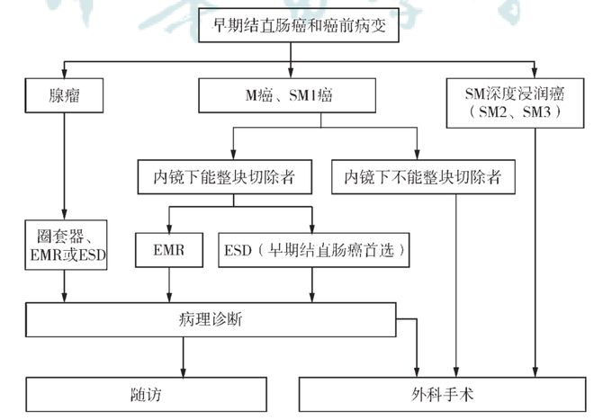 愛麗舍電路,愛麗舍電路解析與專家意見探討——基于6DM170.21標(biāo)準的深度探討,最新解答方案__UHD33.45.26