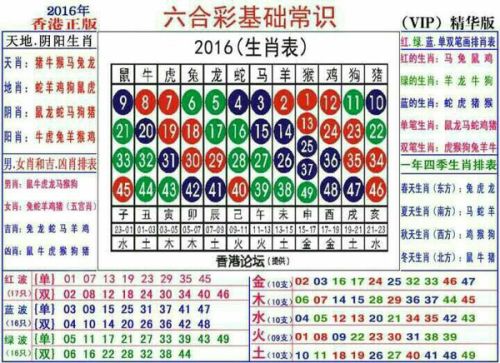 2024十二生肖49碼表,揭秘十二生肖與數(shù)字密碼，專業(yè)解析評(píng)估與解讀2024年生肖運(yùn)勢(shì)之49碼表,安全解析策略_S11.58.76