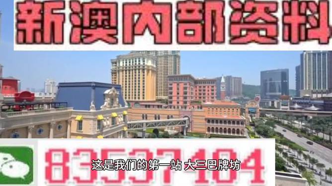 2024澳門(mén)精準(zhǔn)正版資料大全,探索未來(lái)之門(mén)，澳門(mén)精準(zhǔn)正版資料大全的全面應(yīng)用分析數(shù)據(jù)（The37.83.49）,安全解析策略_S11.58.76