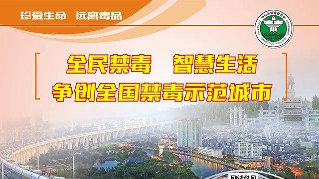 2024澳門天天開好彩資料?,澳門未來展望，高效交通規(guī)劃與多彩生活展望,實證說明解析_復古版67.895