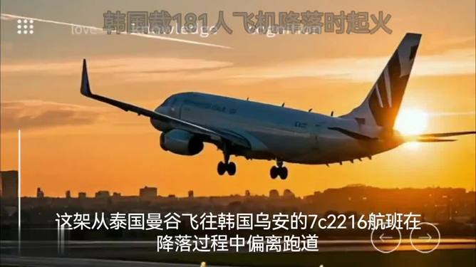 韓國載175人飛機(jī)降落時起火