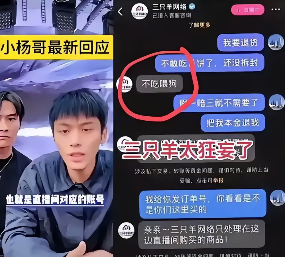 瘋狂小楊哥及三只羊遭起訴事件曝光