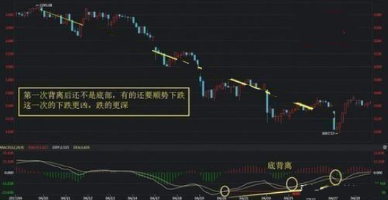 跨年方式大盤點，你的新年是怎樣跨過的？