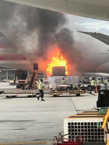 韓國客機(jī)起火致28人死亡慘案