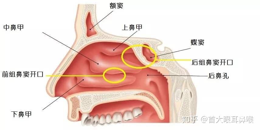 呼吸道疾病患者激增現(xiàn)象分析