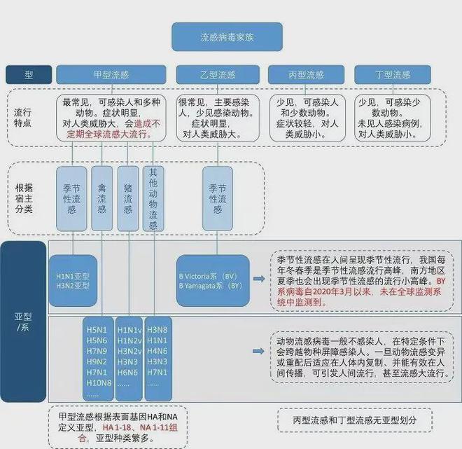 流感陽性率快速上升 如何預(yù)防？數(shù)據(jù)分析驅(qū)動(dòng)設(shè)計(jì)_特別款29.98.79