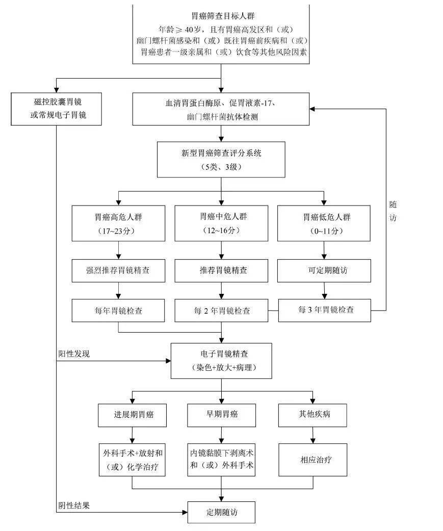 女子從體檢“正?！钡桨┌Y僅半個月最新研究解釋定義_輕量版71.55.23