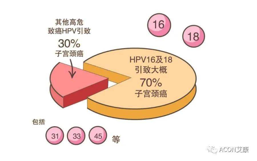 男性HPV疫苗在華獲批上市深入數(shù)據(jù)應(yīng)用解析_AP45.47.99