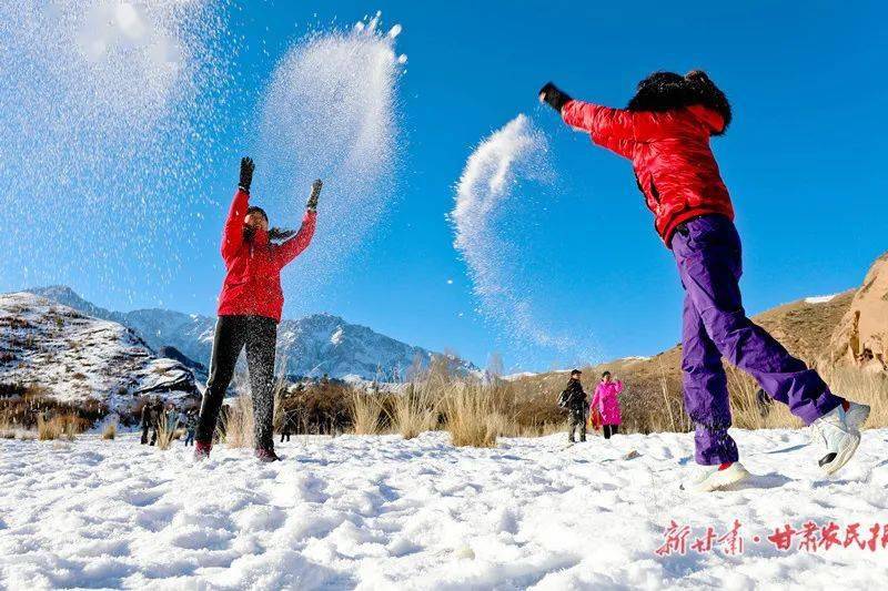 中國籍游客在日本滑雪場遇難深度調(diào)查解析說明_特供版52.87.73