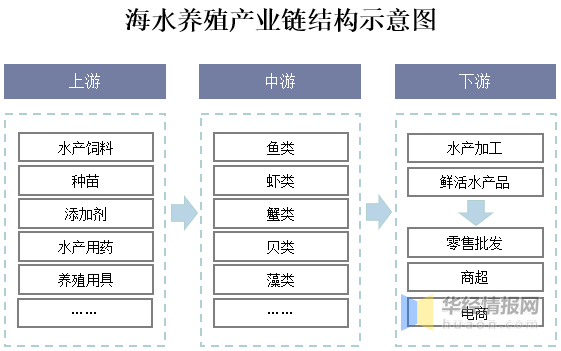 2025年澳彩正版資料大全公開結(jié)構(gòu)化評(píng)估推進(jìn)_set33.91.18