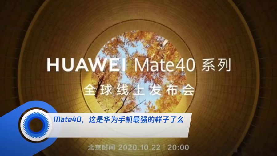 王守義十三香給員工發(fā)華為Mate60標(biāo)準(zhǔn)化流程評(píng)估_定制版67.90.82