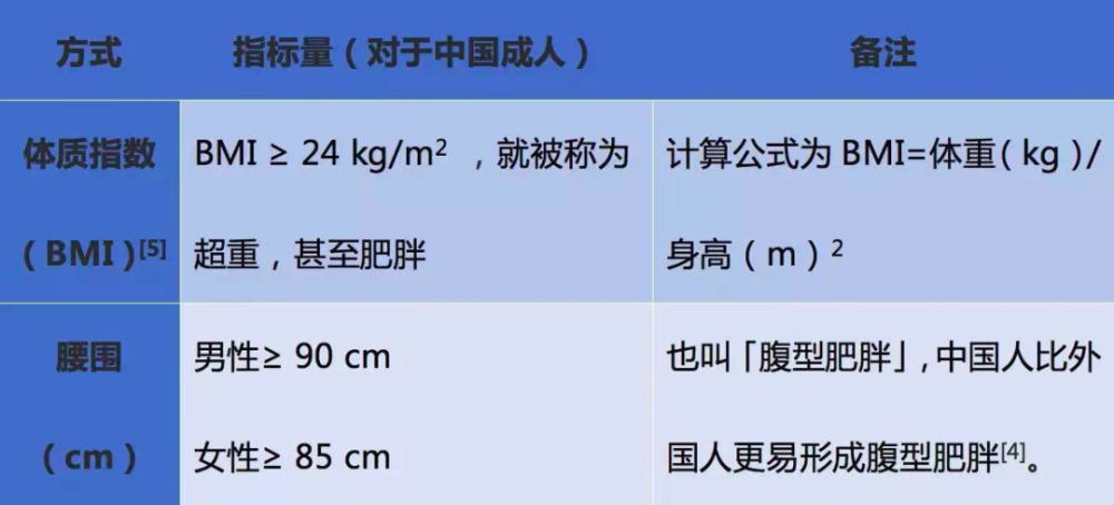 為什么不胖的人也會有小肚子快速解析響應(yīng)策略_版權(quán)頁48.91.96