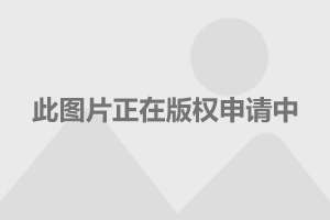 2025年2月2日 第50頁