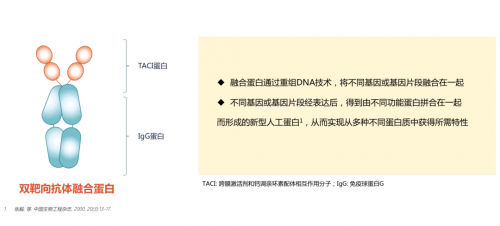 沈騰：感謝支持和喜愛專業(yè)研究解釋定義_鏤版85.50.75