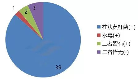 中科院物理所談加州山火的罪魁禍?zhǔn)谆?dòng)性執(zhí)行策略評(píng)估_限定版74.50.72