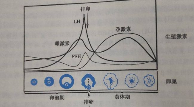 2025年2月4日 第131頁(yè)