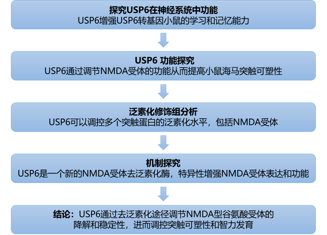 2025年2月6日 第3頁(yè)